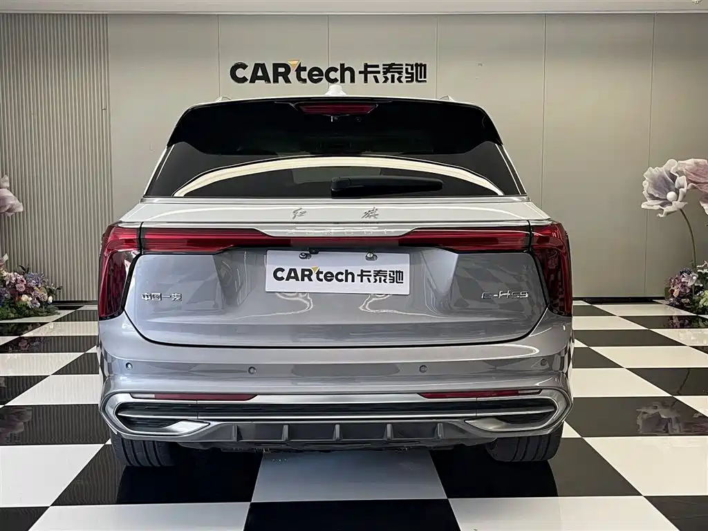 Hongqi E-HS9 2022 660km Qi Ling Edition (4-seater) фото 6