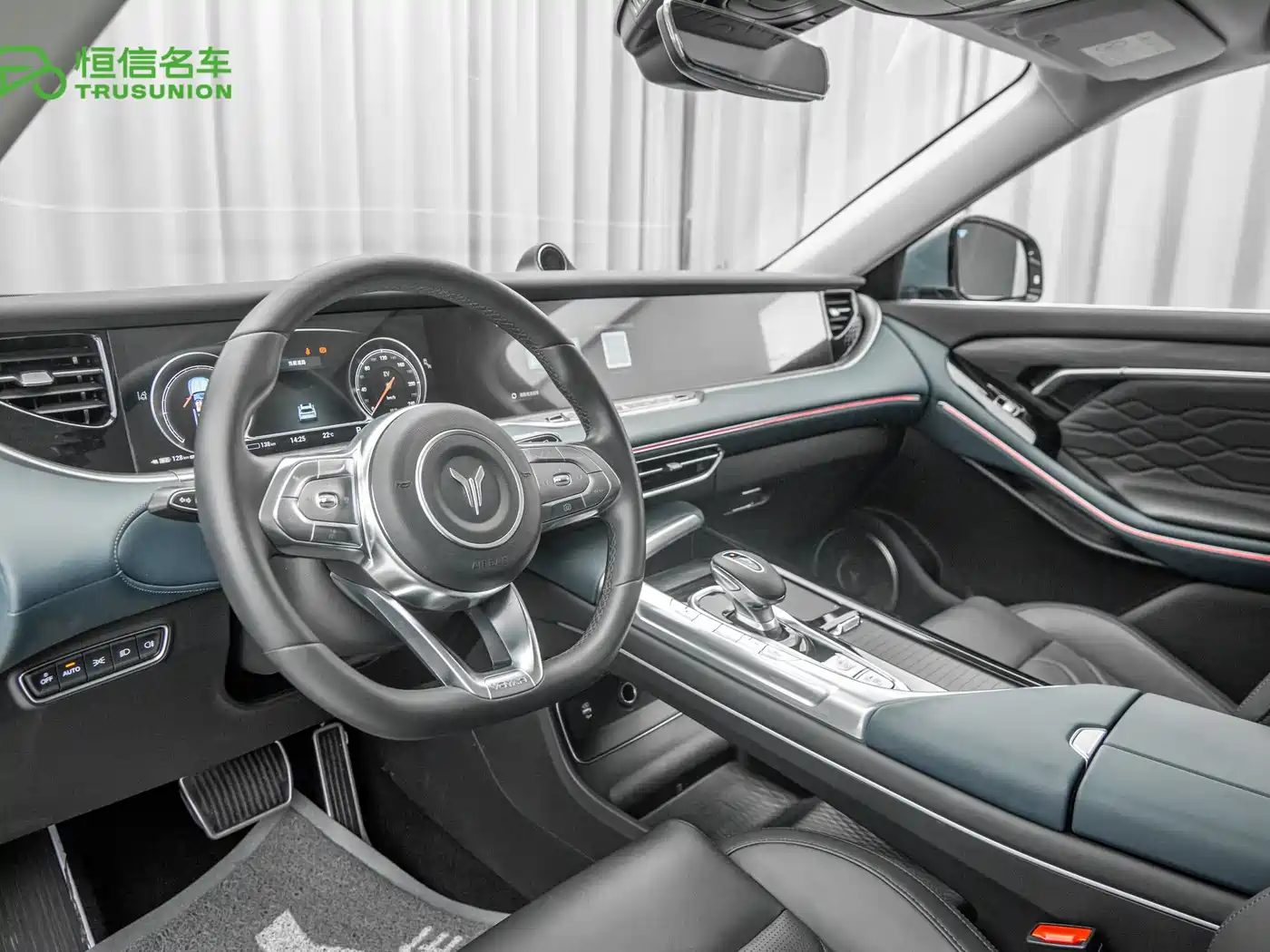 Voyah Auto VOYAH FREE 2021 4WD Extended Range Launch Edition Exclusive Luxury Package фото 12