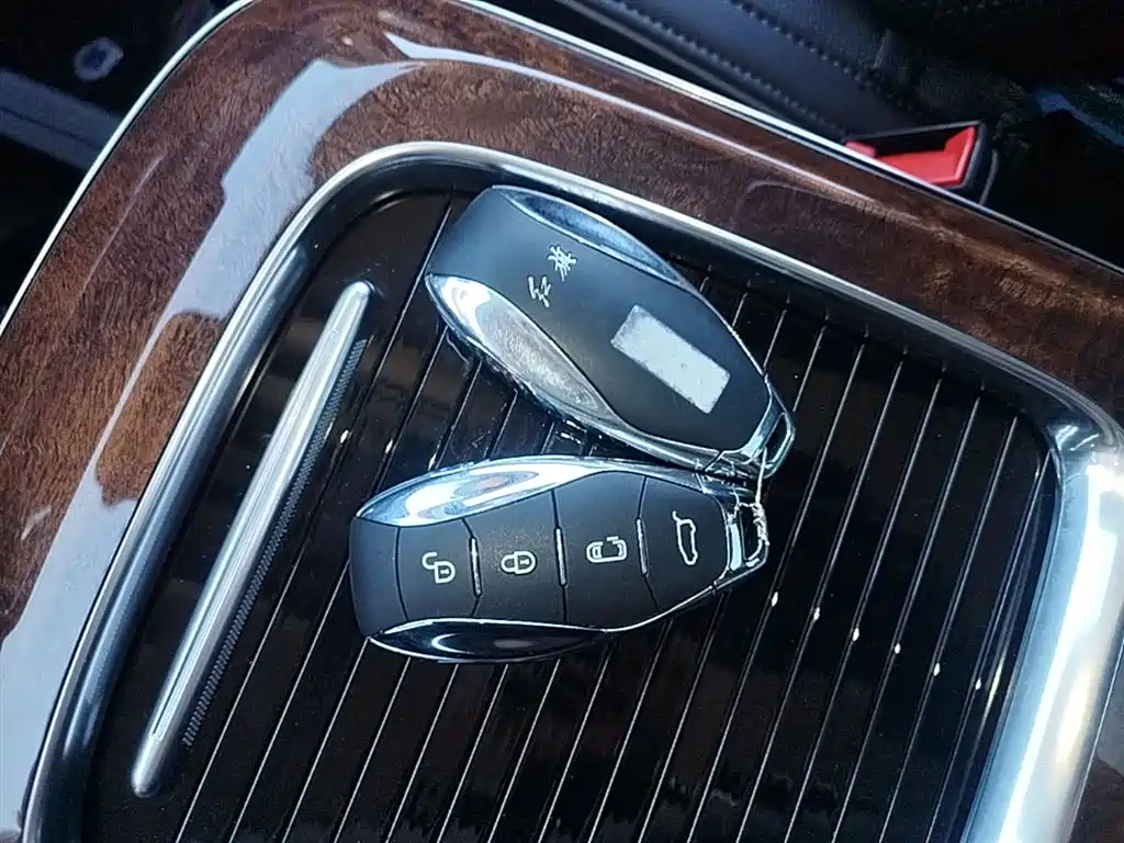 Hongqi HQ9 PHEV 2024 Model 2.0T AWD Luxury Edition фото 17