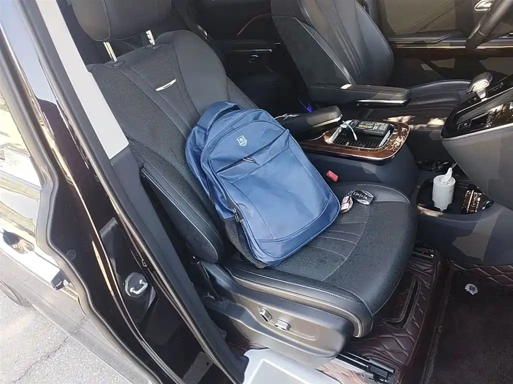 Hongqi HQ9 PHEV 2024 Model 2.0T AWD Luxury Edition фото 20