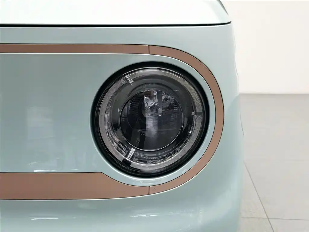 Geely Galaxy Panda 2024 Panda mini 200km Endurance Bear фото 7