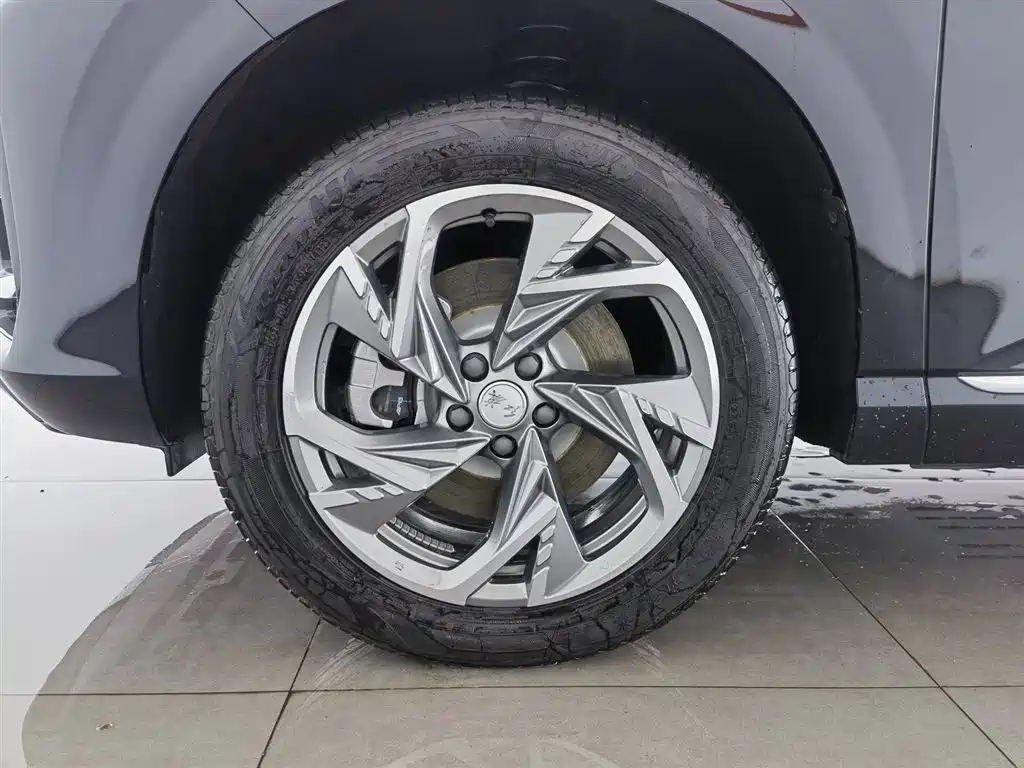 Hongqi HS3 PHEV 2025 125km Jingwei 2 Million Commemorative Edition фото 17