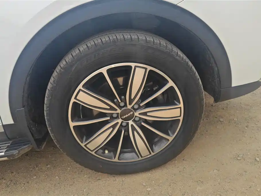 Haval H6 2021 1.5GDIT Automatic Luxury Edition фото 6