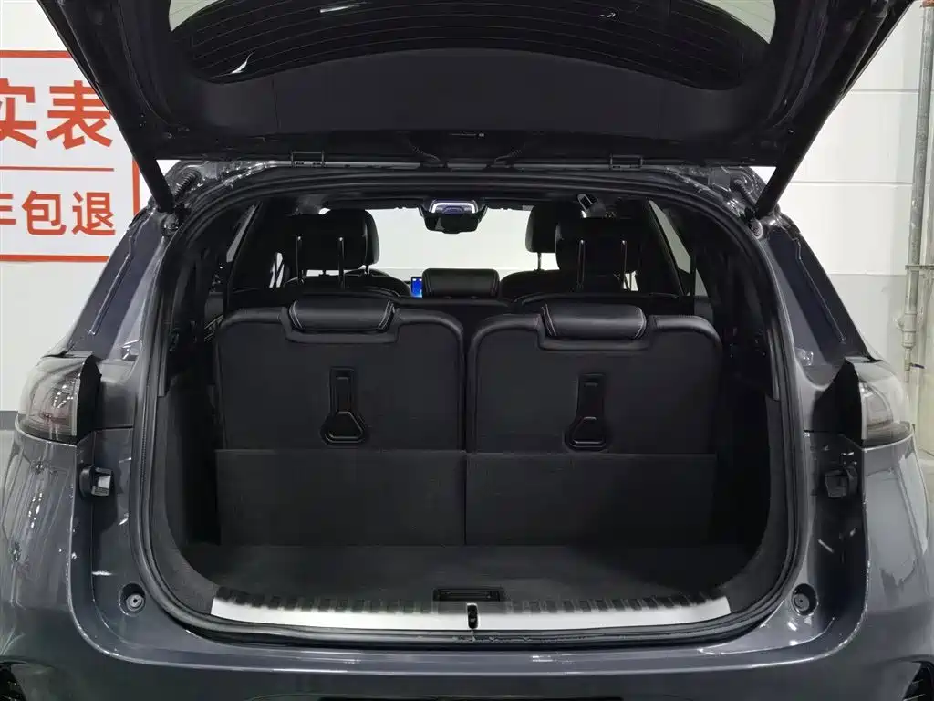 Denza X 2020 PHEV Sport Edition фото 16
