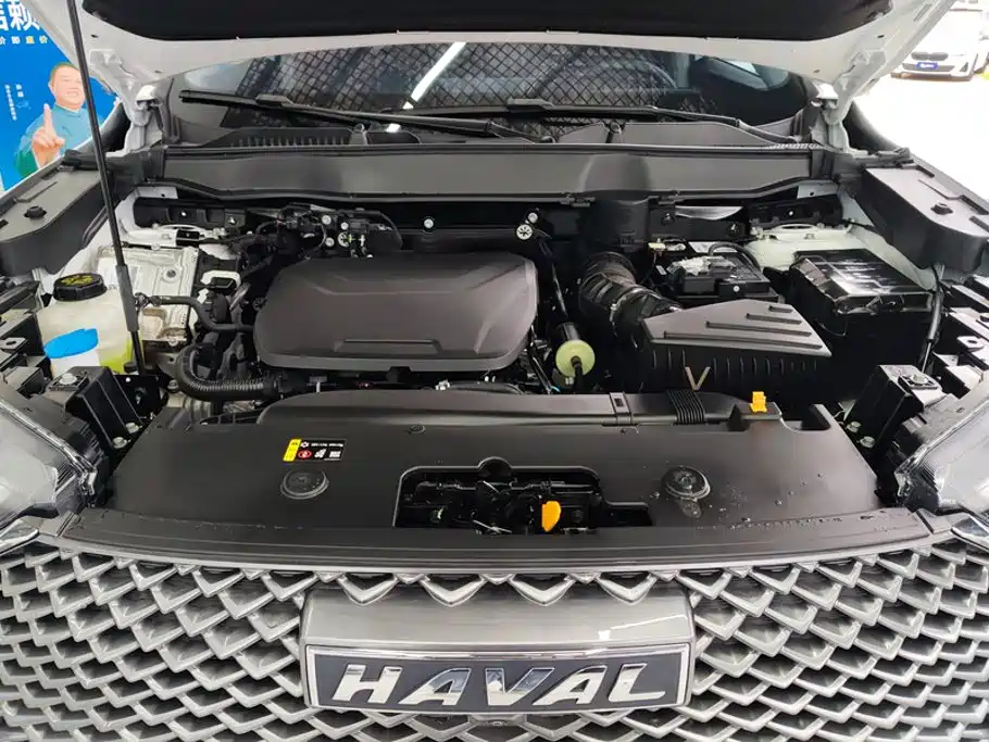 Haval H6 2025 2024 Model 1.5T 2WD Classic Edition