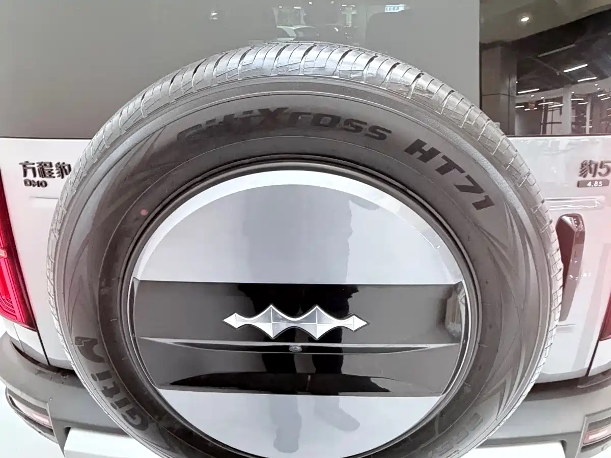 FANG CHENG BAO LEOPARD 5