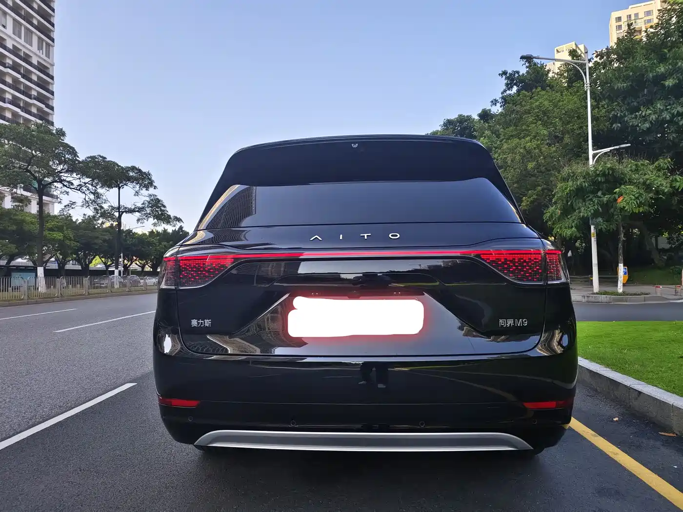 AITO Wenjie AITO M9 2024 Range Extender Ultra 52kWh 6-seater фото 9