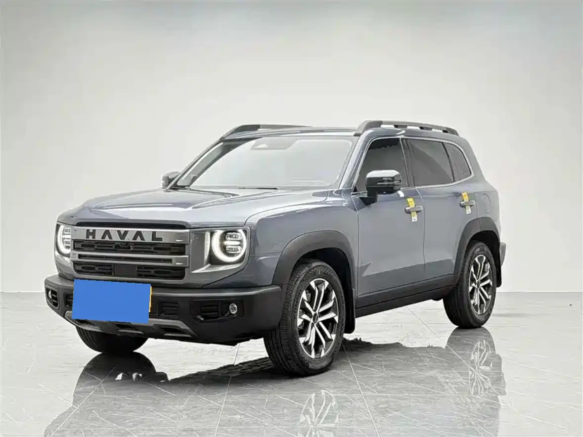 Haval Big Dog 2024 1.5T DCT Border Collie Edition