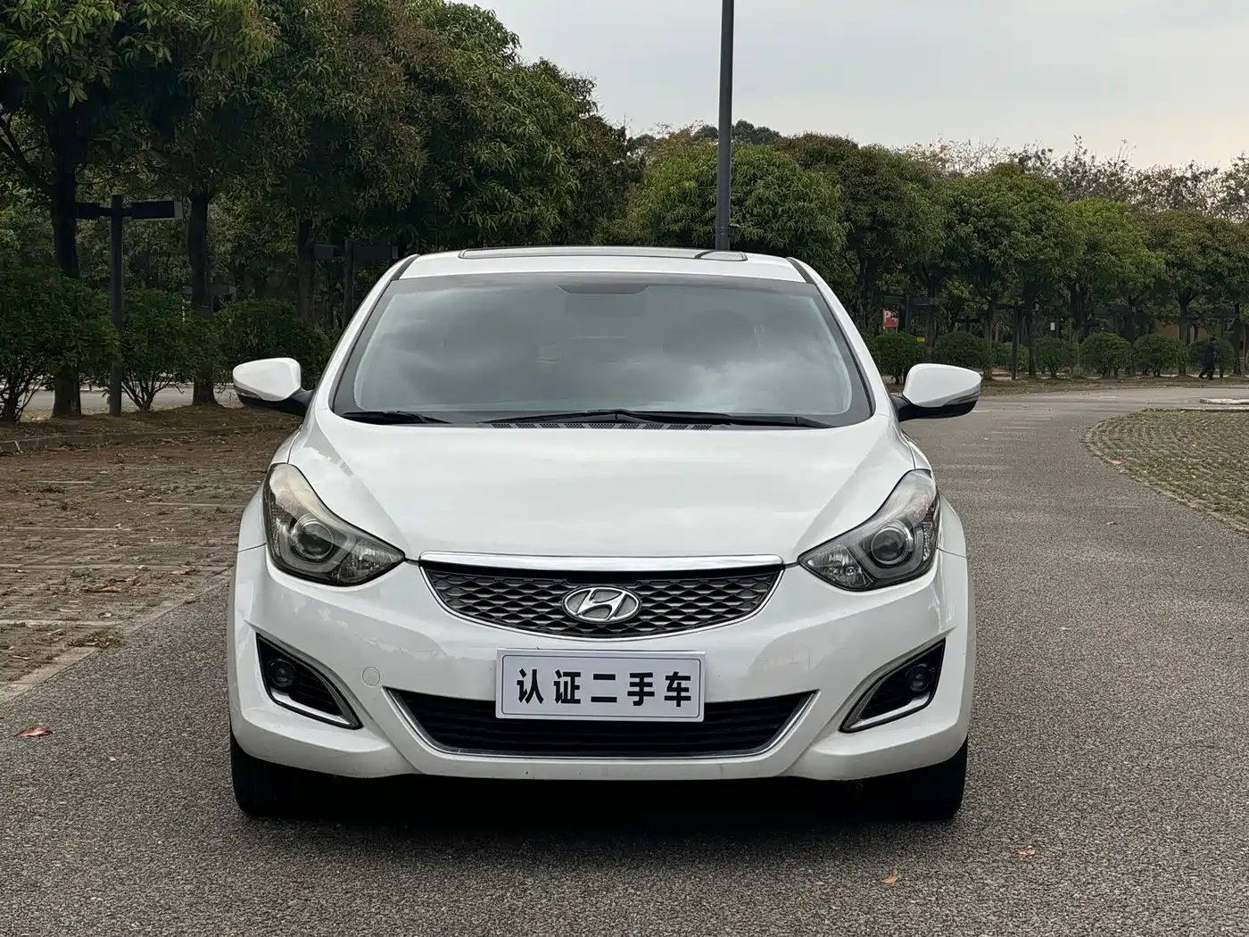 HYUNDAI LANGDONG
