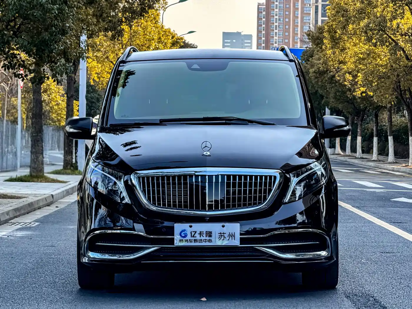 MERCEDES-BENZ V CLASS