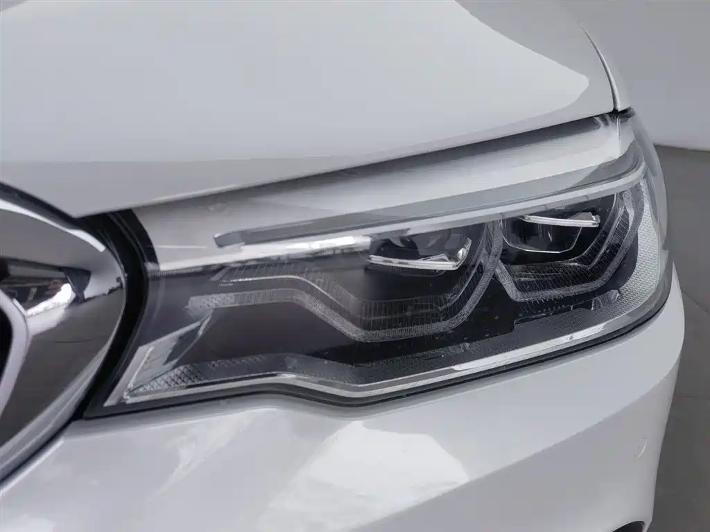 BMW 5 Series 2020 530Li Leading M Sport Package фото 7