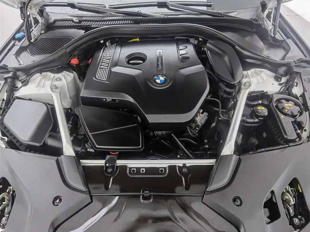 BMW 5 Series 2020 530Li Leading M Sport Package фото 6