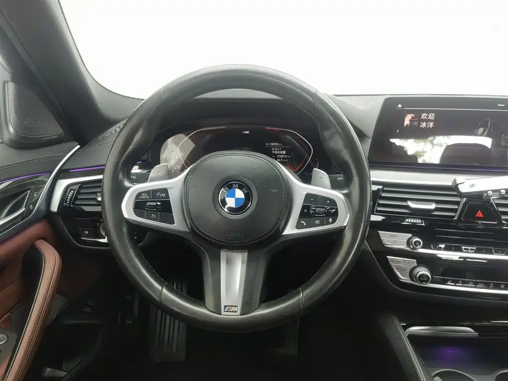 BMW 5 Series 2020 530Li Leading M Sport Package фото 11