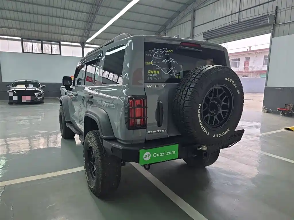 Tank 300 2021 Off-road Version 2.0T Conqueror фото 23