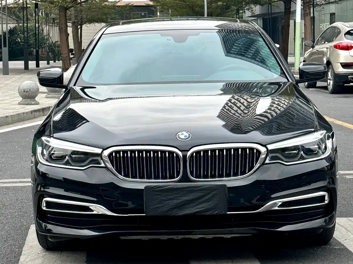 BMW 5 Series 2020 530Li Leading Luxury Package фото 2
