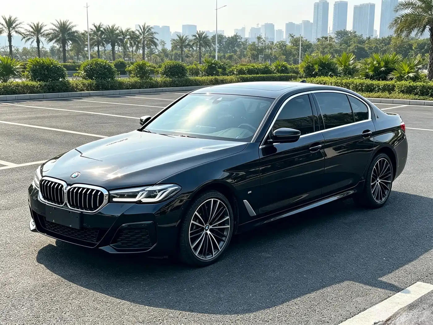 BMW 5 Series 2021 530Li xDrive M Sport Package