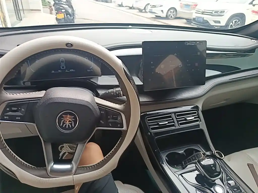 BYD Qin PLUS 2023 Champion Edition DM-i 55KM Leading фото 10