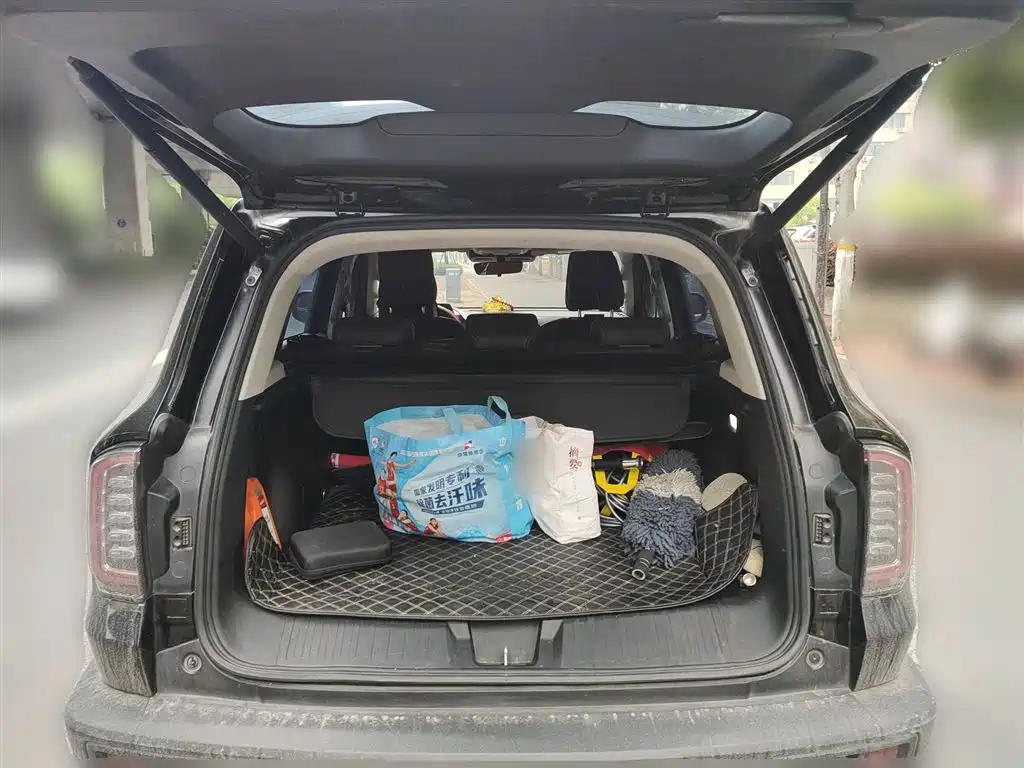 Haval Big Dog 2022 1.5T DCT FWD Border Collie Edition фото 15