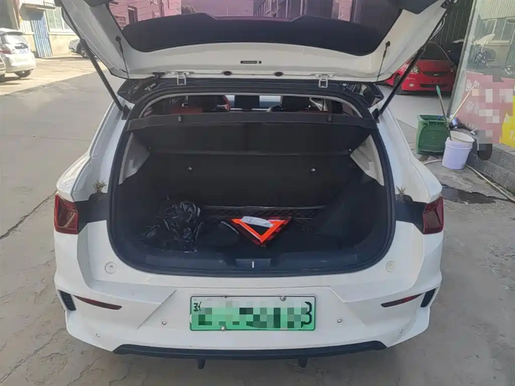 BYD e2 2020 Upgraded Long Range Luxury фото 19