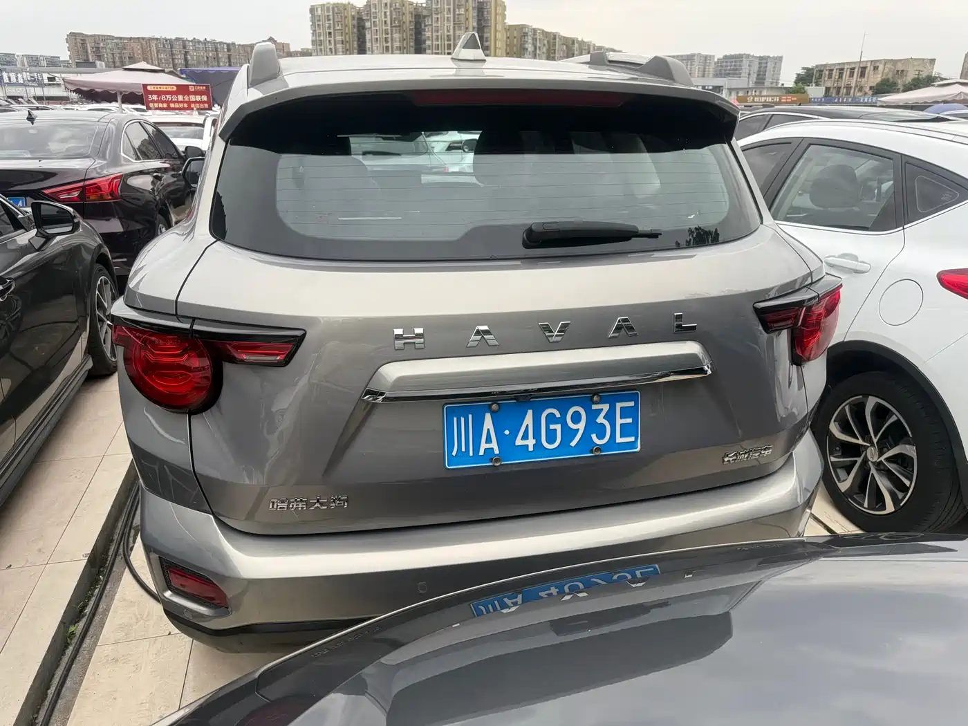 Haval Big Dog 2022 2.0T DCT 4WD Chinese Rural Dog Hunting Edition фото 15