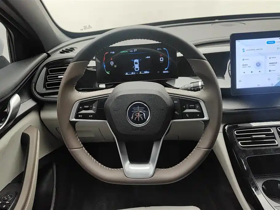 BYD Qin PLUS 2023 Champion Edition DM-i 55KM Leading фото 15