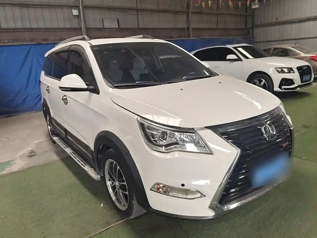 Фото 22 - BAIC Weiwang BAW Weiwang M60