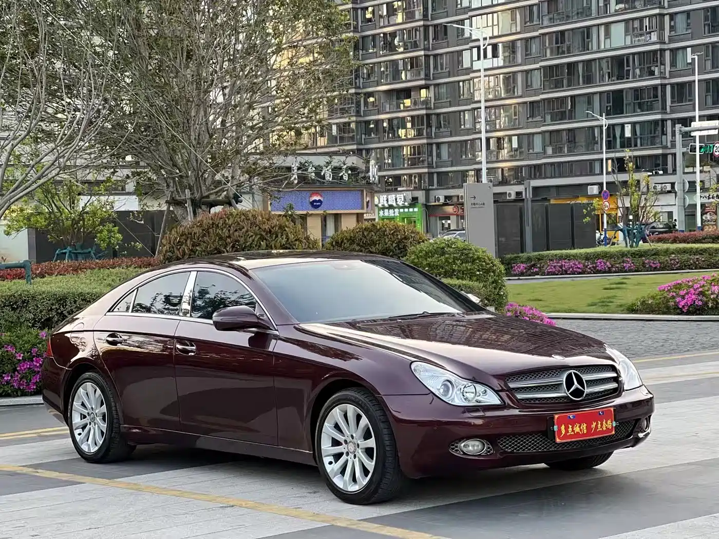 Mercedes-Benz CLS 2009 CLS 300 фото 3