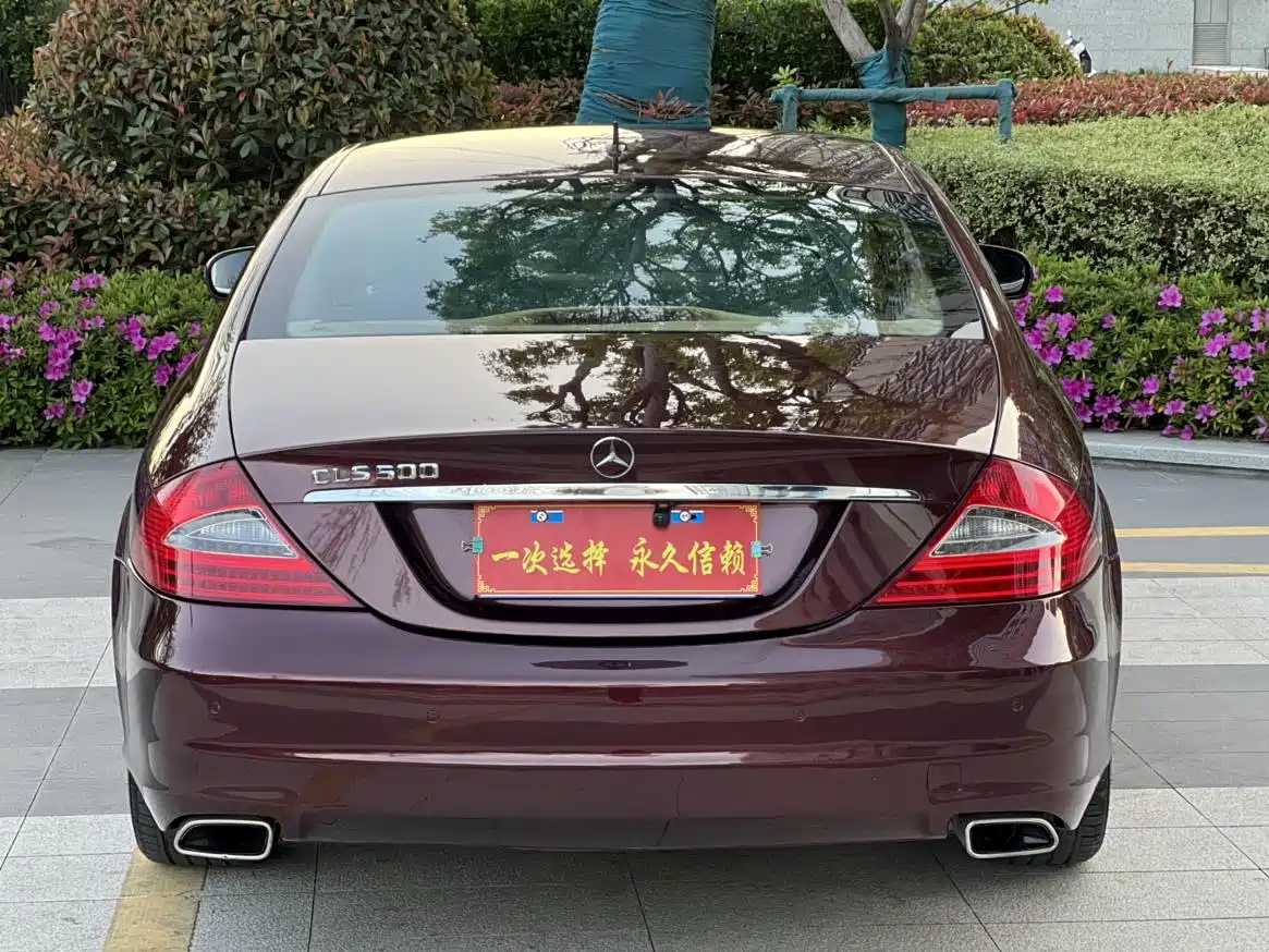 Mercedes-Benz CLS 2009 CLS 300 фото 15