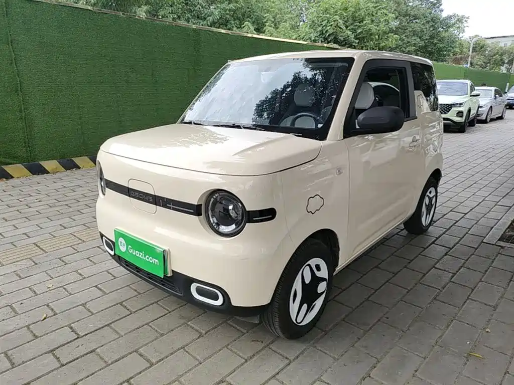 Geely Galaxy Panda 2025 Panda mini 210km Vitality Bear