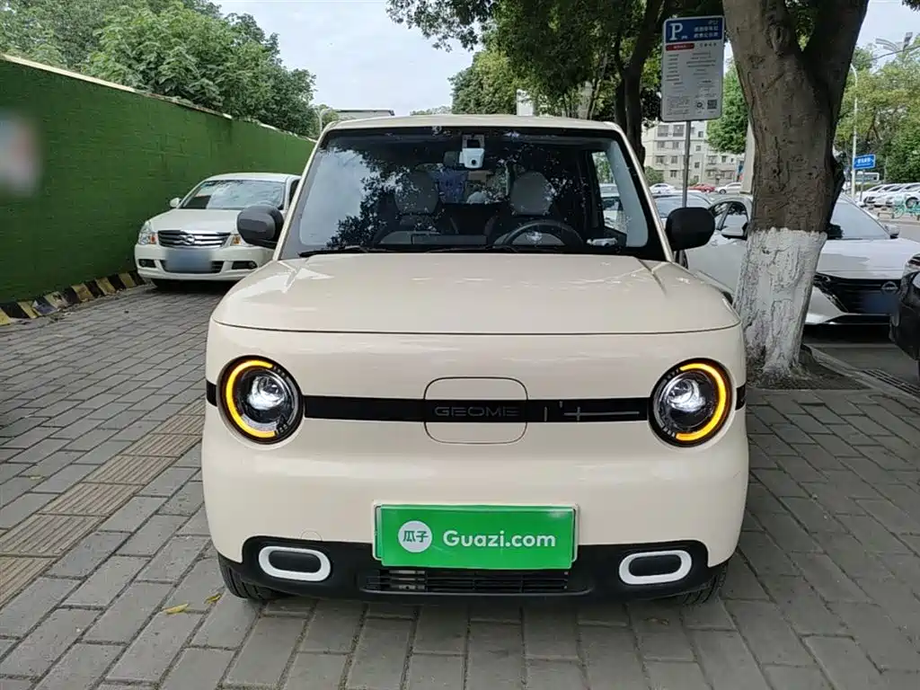 Geely Galaxy Panda 2025 Panda mini 210km Vitality Bear фото 3