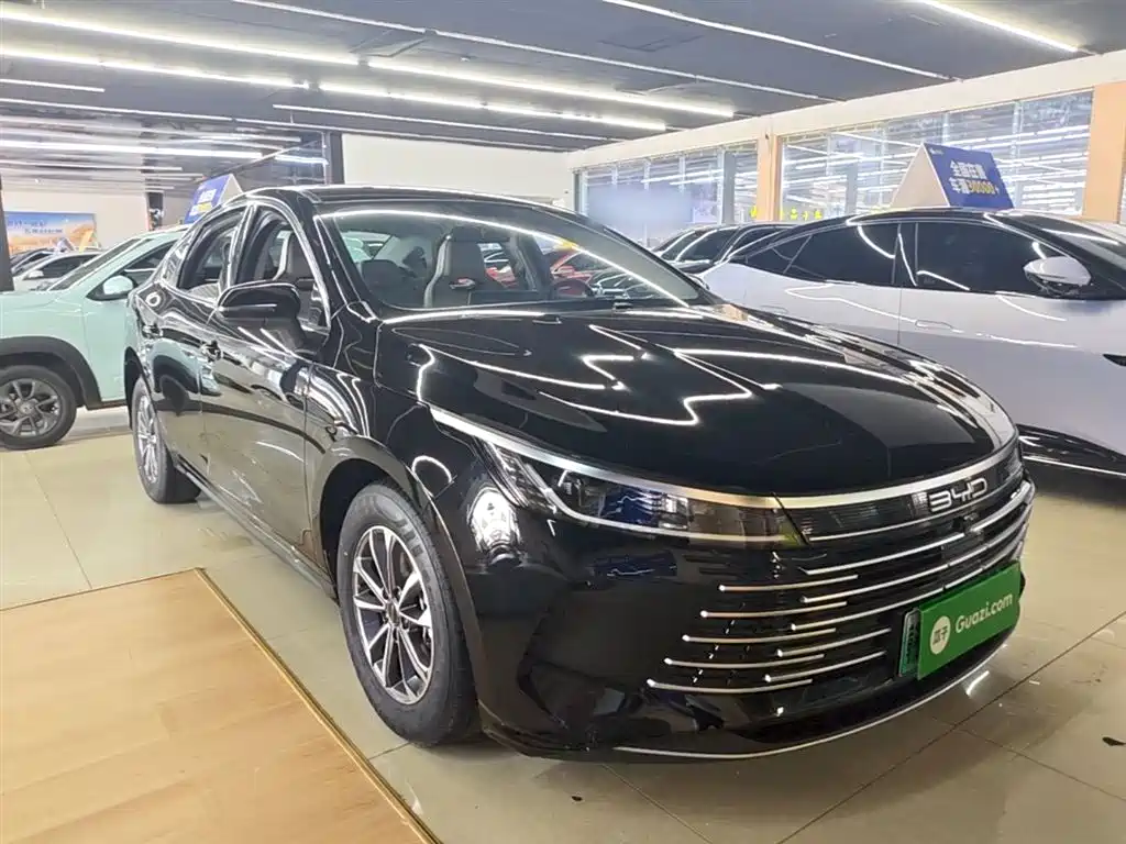 BYD Destroyer 05 2024 Glory Edition DM-i 55KM Luxury фото 4