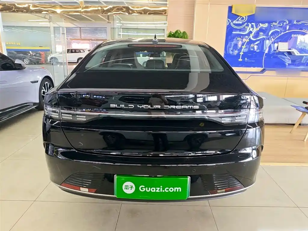 BYD Destroyer 05 2024 Glory Edition DM-i 55KM Luxury фото 6