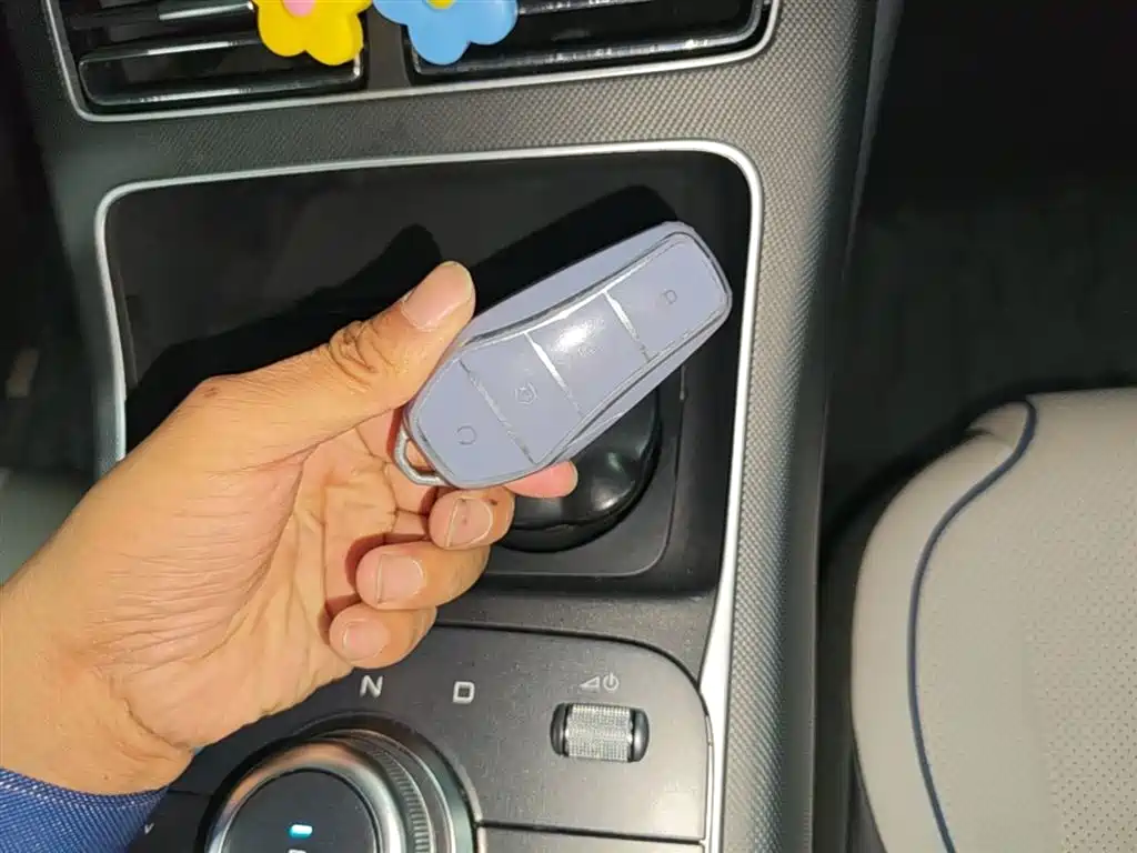 BYD Destroyer 05 2024 Glory Edition DM-i 55KM Luxury фото 9