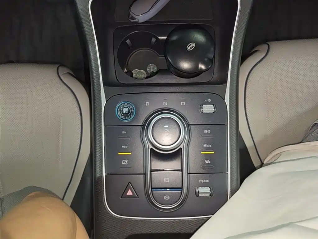 BYD Destroyer 05 2024 Glory Edition DM-i 55KM Luxury фото 14