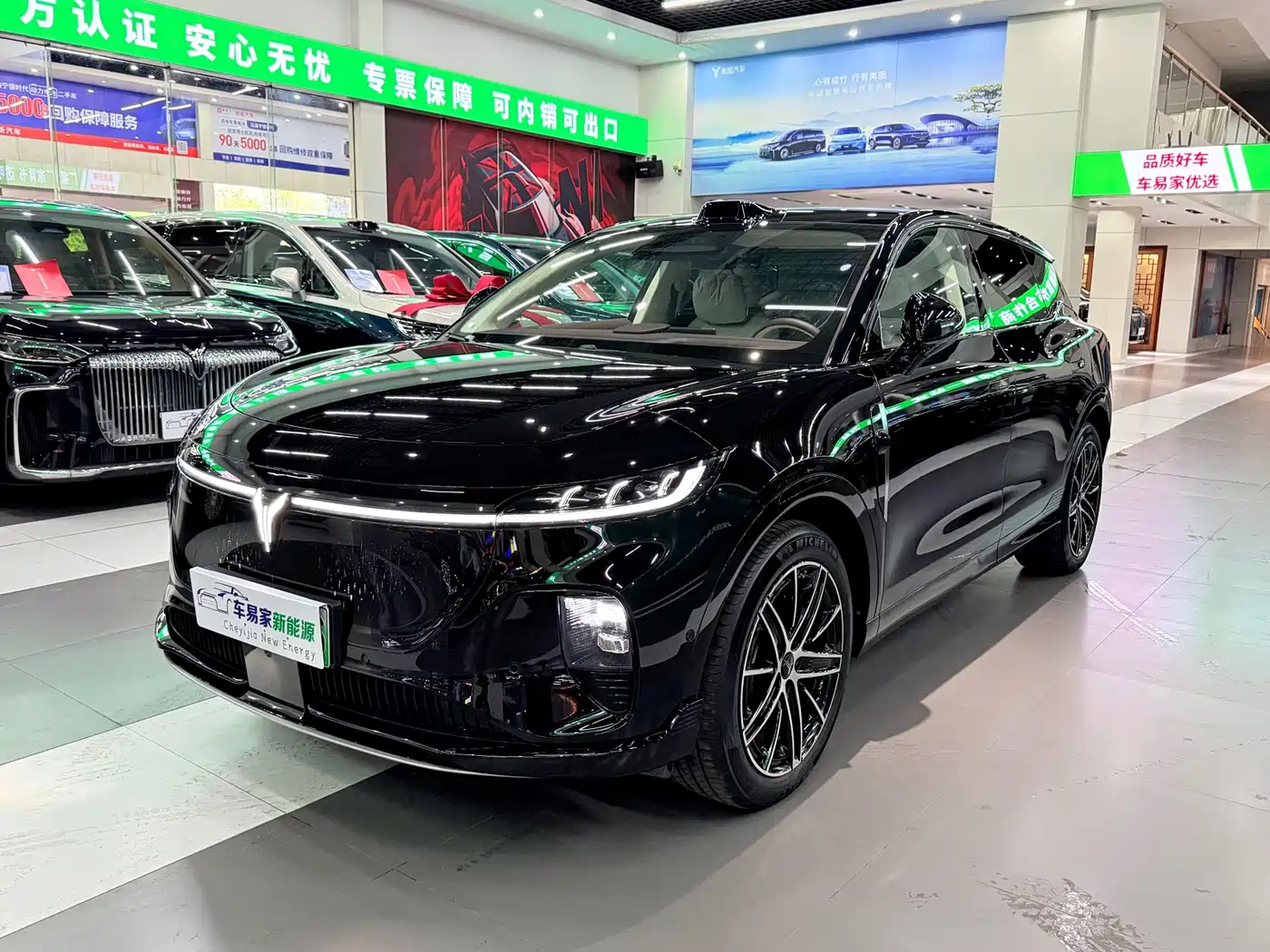 Voyah Auto Voyah Zhiyin 2025 Base