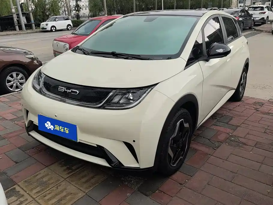 BYD Dolphin 2021 Model 405km Fashion Edition фото 2