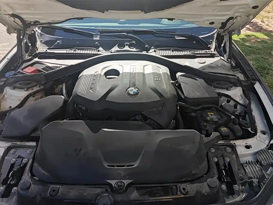 BMW 2 Series (Import) 2017 220i Leading фото 10