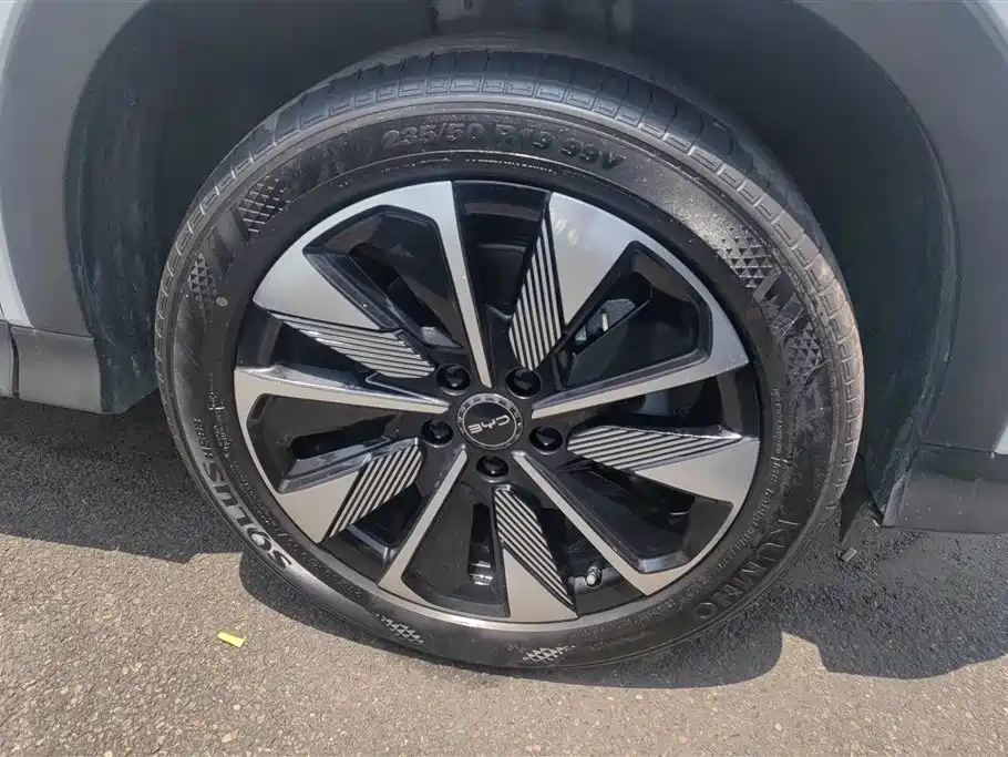 BYD Song PLUS PHEV 2025 DM-i 112KM Honor фото 6