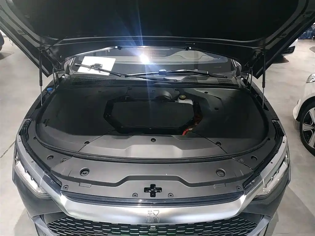 BYD Han 2020 DM AWD Performance Luxury Edition фото 16
