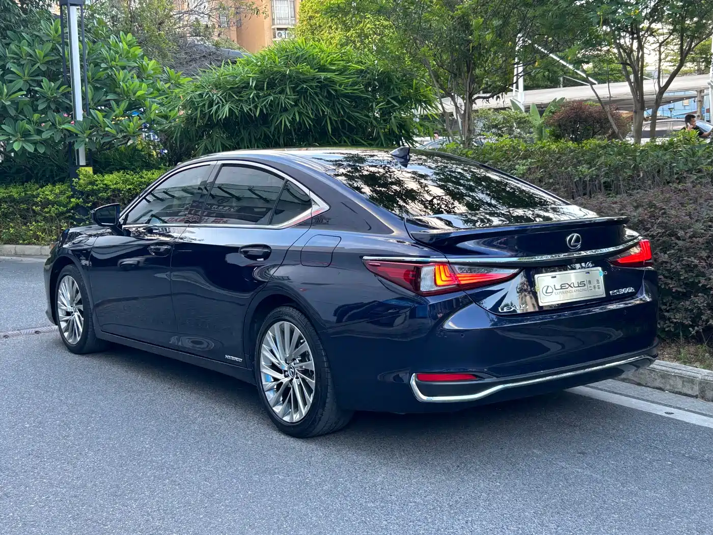 Lexus ES 2018 300h Executive Edition China V фото 6