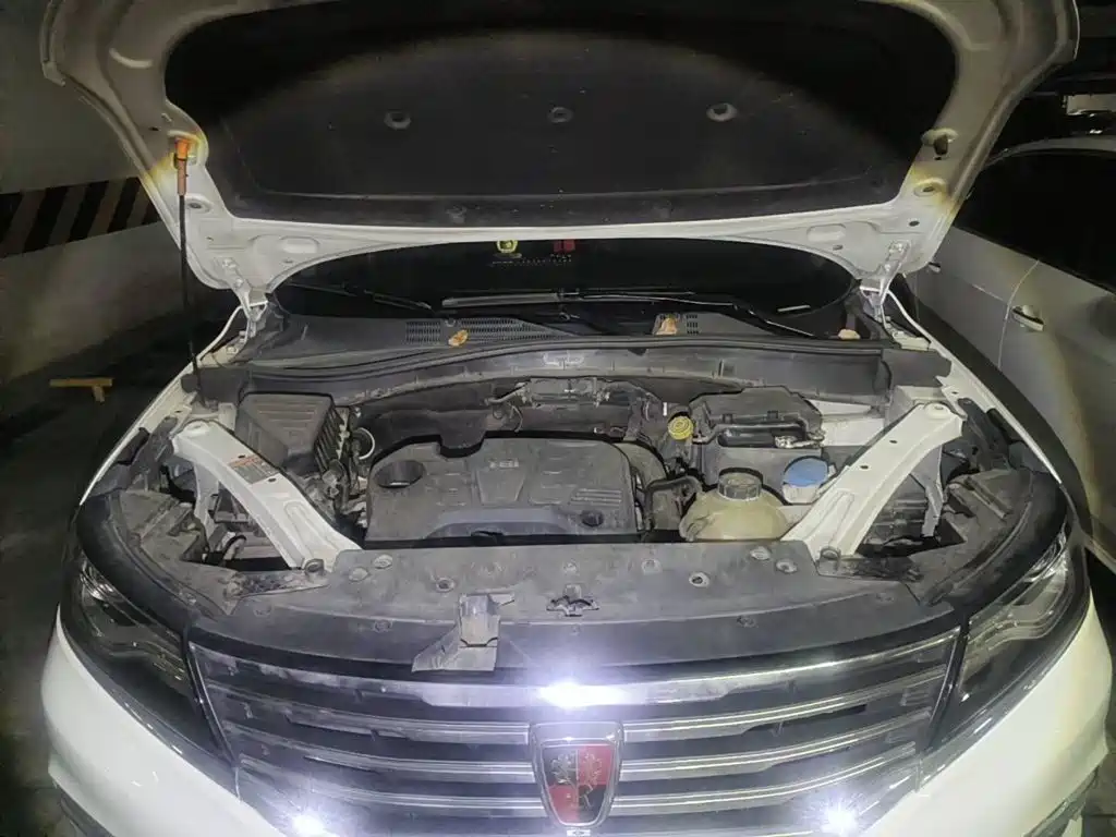 Фото 3 - Roewe RX5