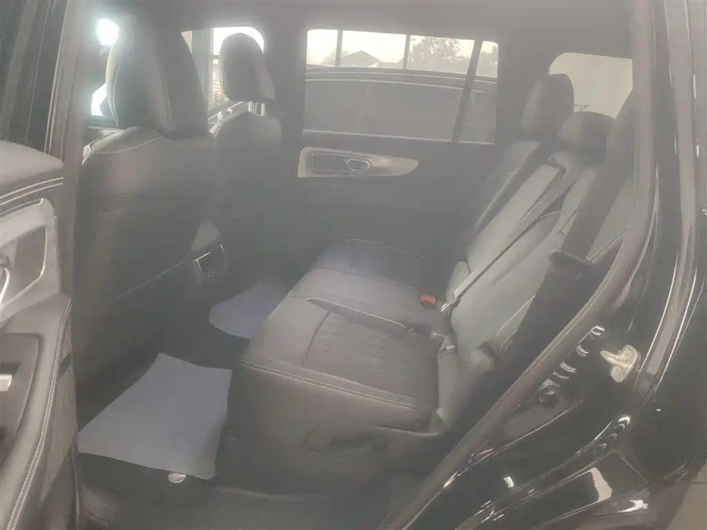 GAC Trumpchi Trumpchi GS8 2024 Navigator Series 2.0TGDI 2WD Luxury Smart Connect Edition фото 17