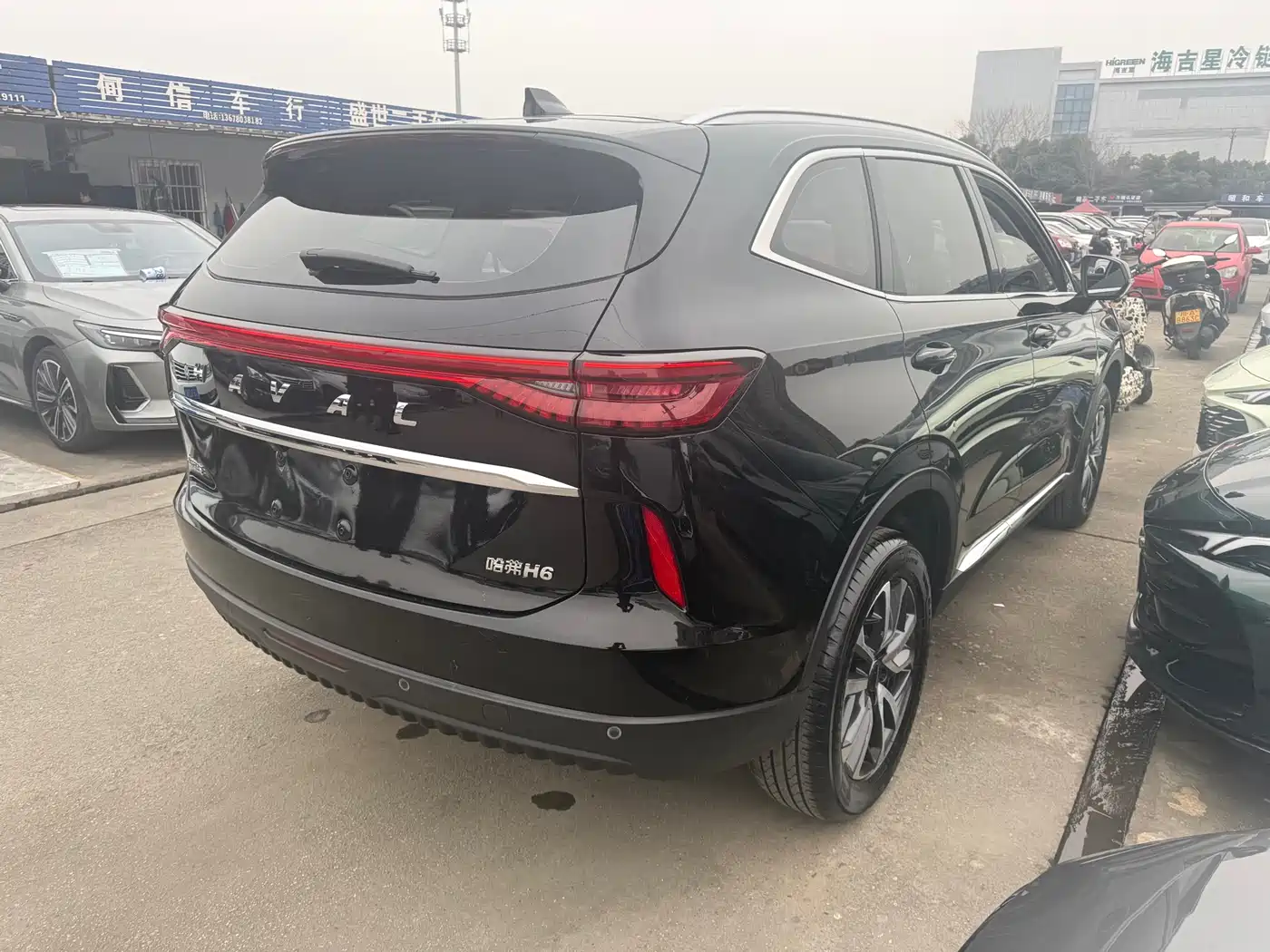 HAVAL H6
