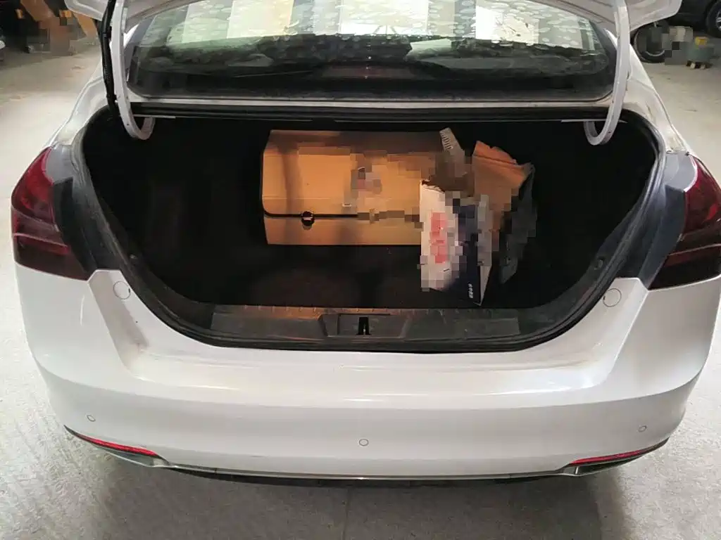 Geely Emgrand New Energy 2019 2018 EV450 Progressive