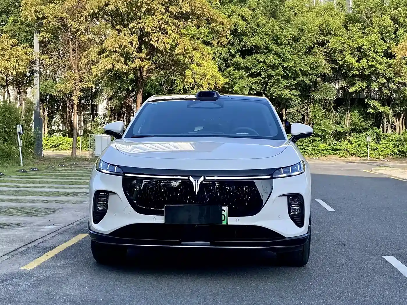 Voyah Auto Voyah Zhiyin 2025 Base фото 2