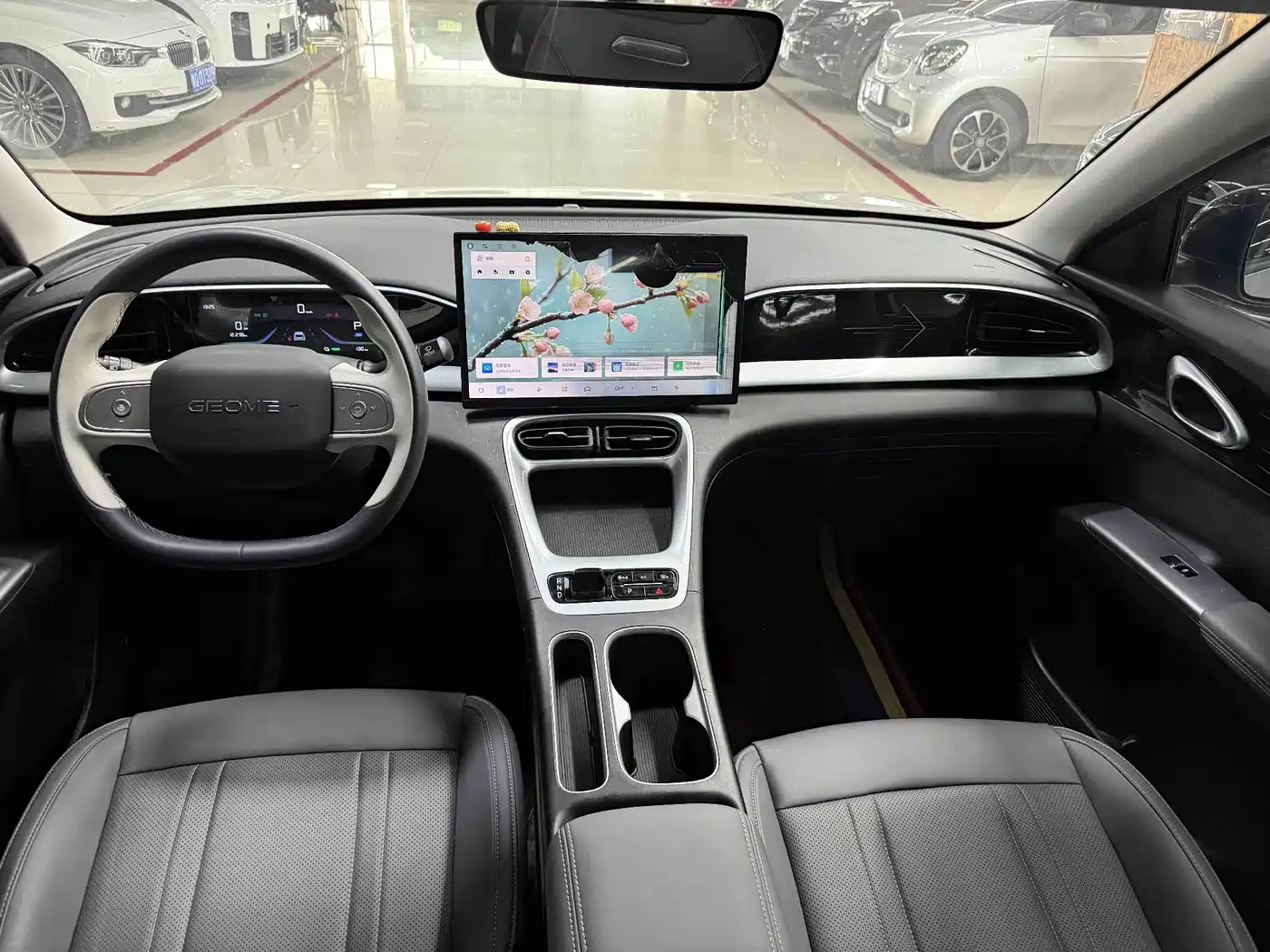 Geely Galaxy Starry Wish 2025 2025 310km Youth Edition