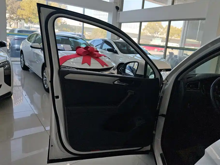 Volkswagen Tiguan L 2019 Facelift 330TSI Auto 2WD Smart Luxury China VI фото 7