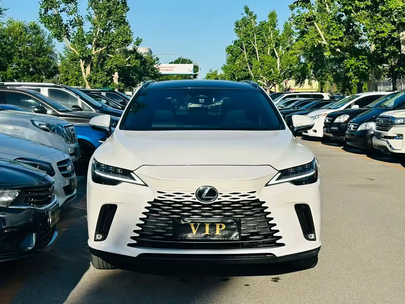 Lexus RX 2023 350h 4WD Pure Edition фото 2