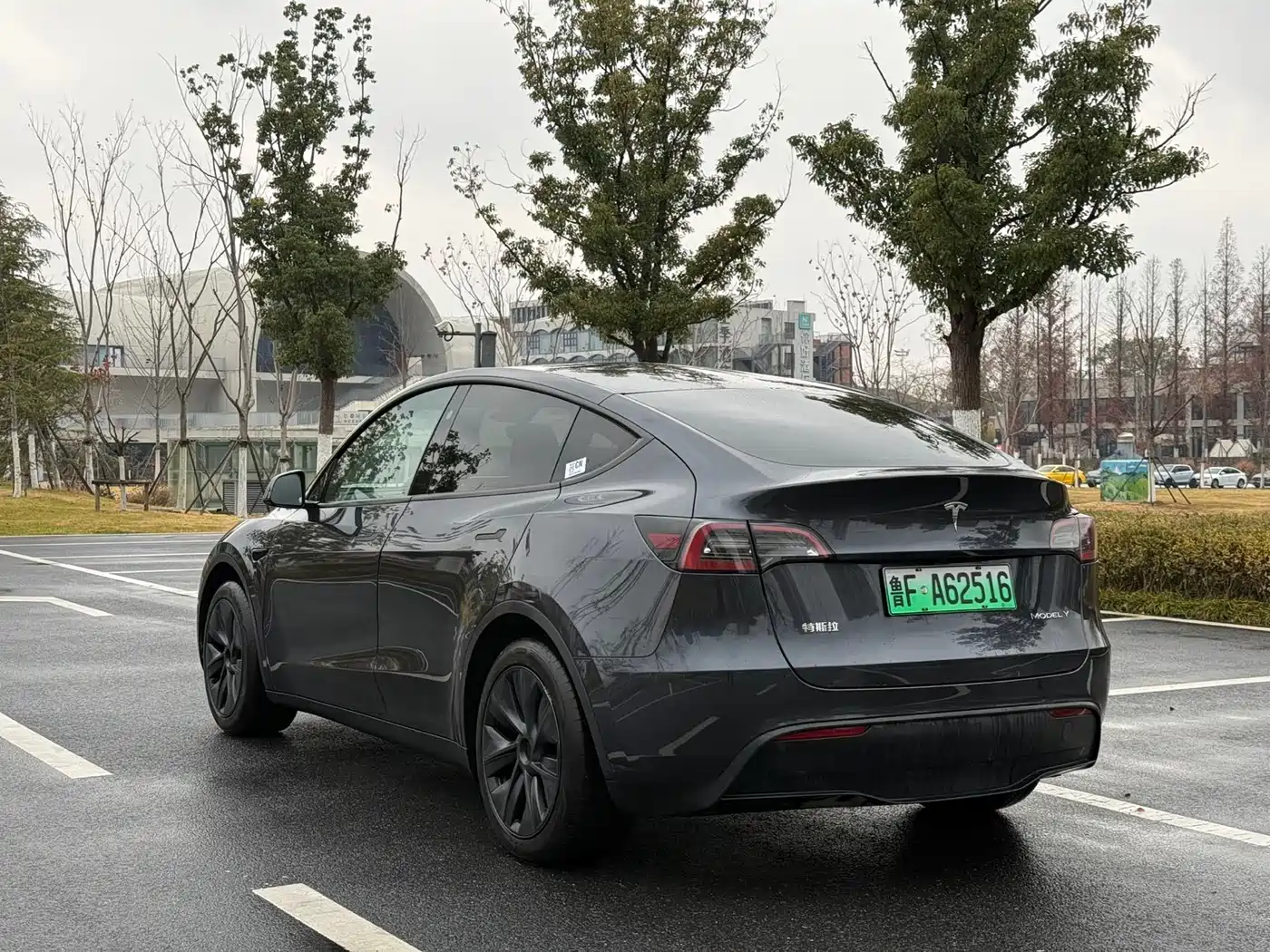 TESLA MODEL Y
