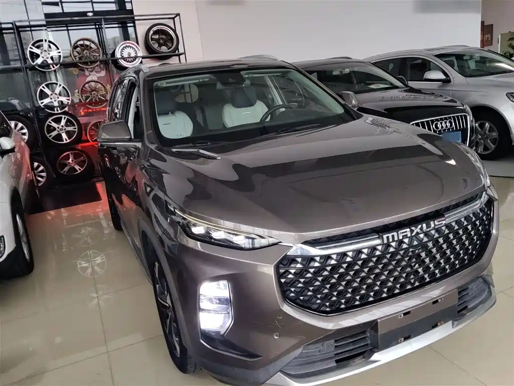 SAIC Maxus Maxus D60 2019 Model 1.5T Auto Premium Edition 7-Seater фото 21